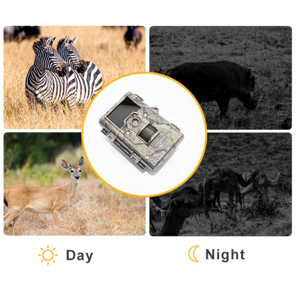 Infrared Animal 1280×720 25m Night Vision Trail Camera