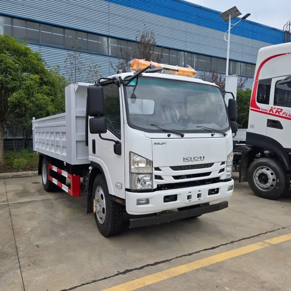 Isuzuelf 700p Dump Truck, 5 Tons, 8 Tons, and 10 Tons in Size, 4X2 4X4 Dump Truck Price.