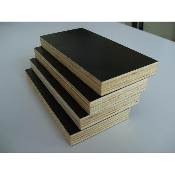 WBP film faced plywood with poplar/hardwood/combi core