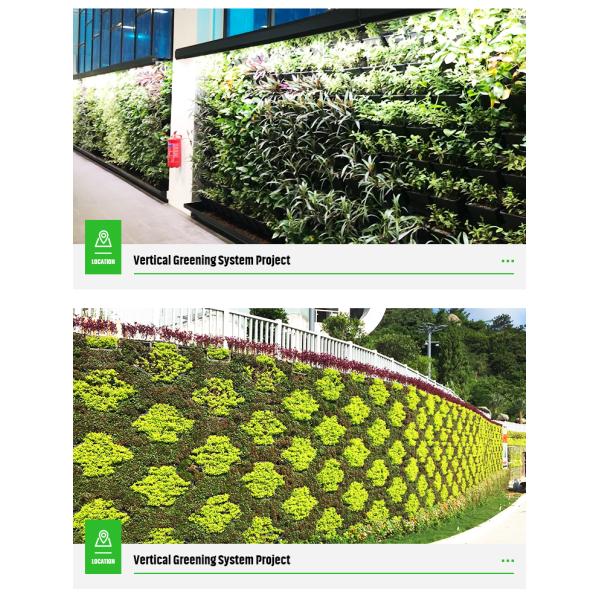 Flower Pot Vertical Garden Planter 12 per Square Meter for Indoor and Outdoor Spaces