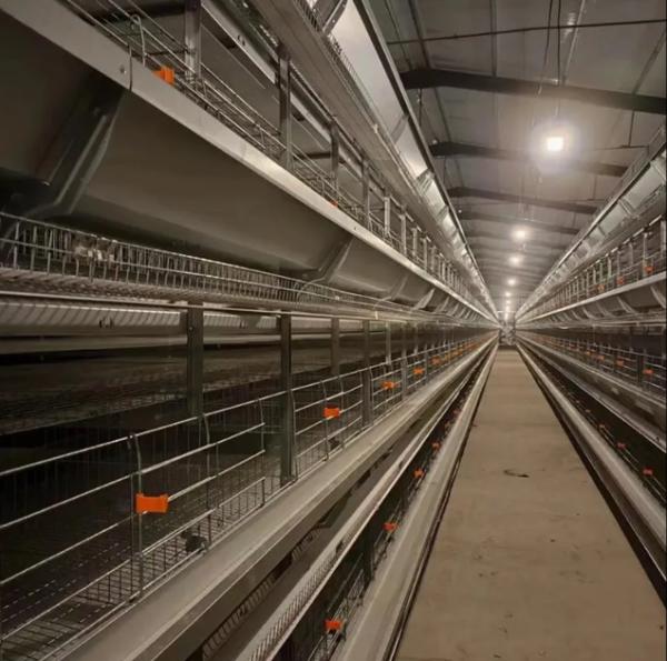 Corrosion Resistant High Efficiency Modular Poultry Ventilation System for Energy Saving Farm Ventilation