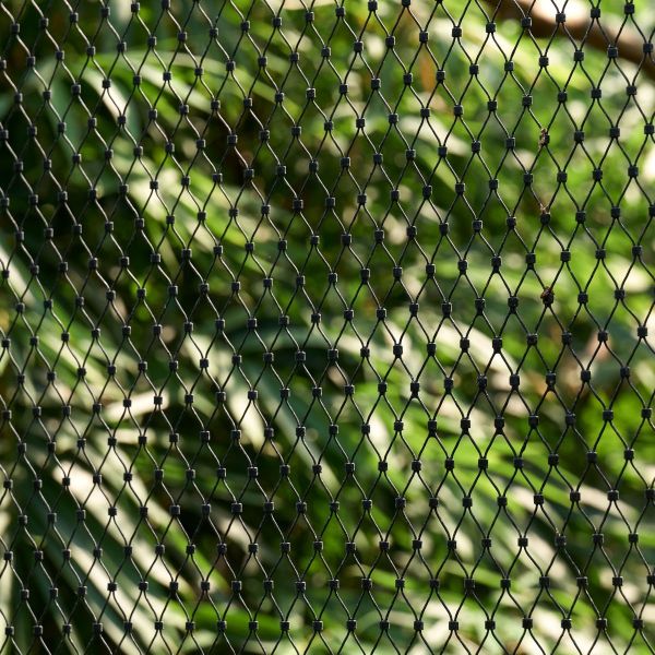 Virtually Invisible Premium Stainless Steel Cable Trellis With Wall Standoff Brackets For Plant Support Net