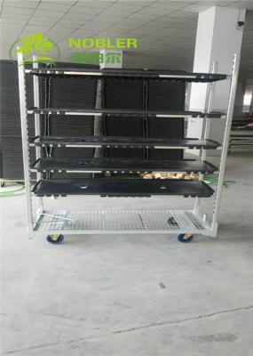 Transportando o pó que reveste o trole holandês da flor Q235
