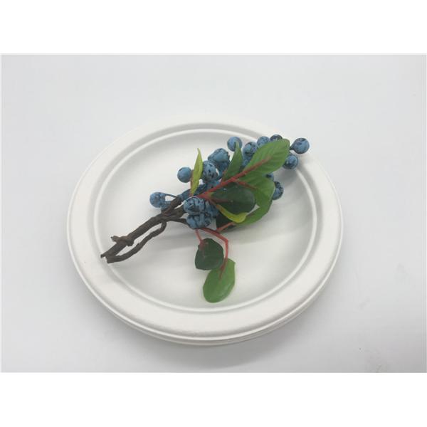 Disposable 6/ 7 /8.75/9 10 Inch Biodegradable Sugarcane Bagasse Plates