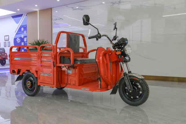 Factory Produce Tuk Tuk Cargo Tricycle Chassis Motorcycle Cargo