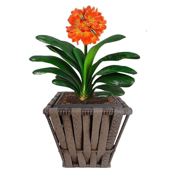 High Grade Factory Hot Sale Rattan Wicker Plastic Wooden Garden Pots Planter