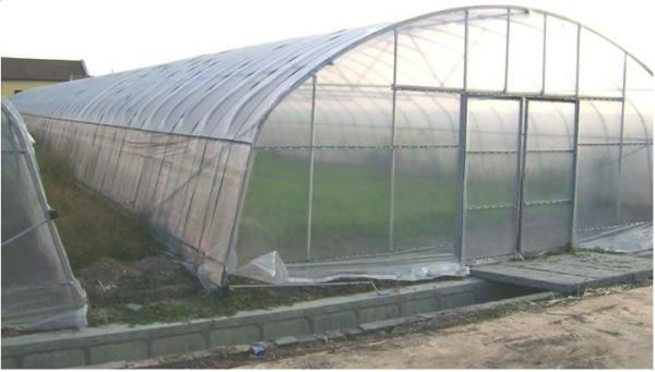 Beautiful Polyethylene Film Greenhouse Good Pressure Resistance For Lettuce Planting