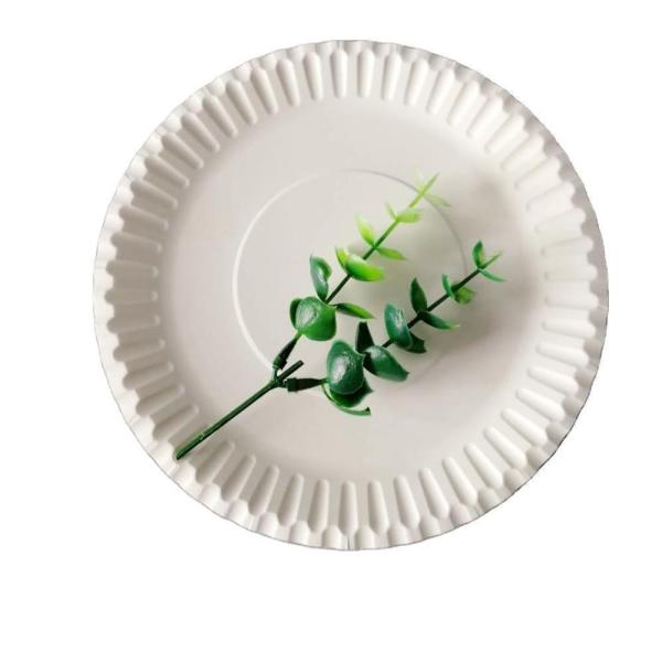 Customizable 7inch Paper Plate for Birthday Party Eco-Friendly Party Tableware 300GSM