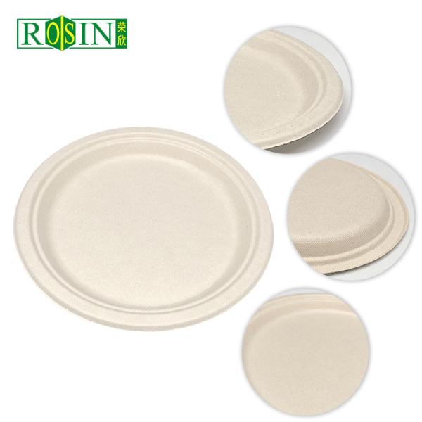 Customized Biodegradable Food Containers Disposable For Wedding Party