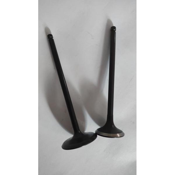 Nissan X-Trail MR20 Car Engine Valves Exhaust 13202-EN200 13201-EN20B 13201-EN20C 13202-EN20B 13202-EN20C