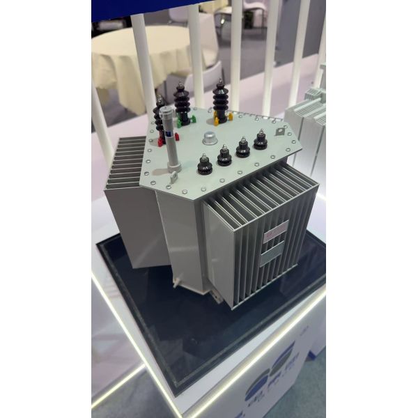 11kv/800kVA Three Phase Oil Immersed Power Transformer