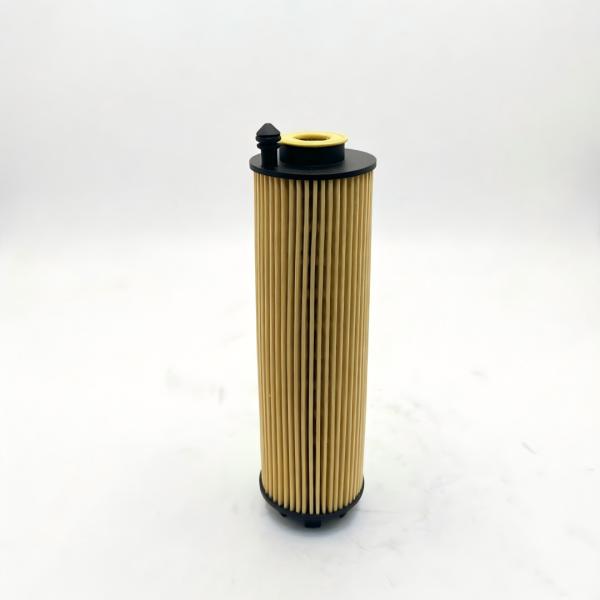 OEM 2561841100 High Quility Oil Filter for Heavy-Duty Truck Engine Parts