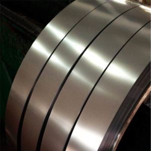 Density 7.93g/cm3 Stainless Steel Strip for Industrial Applications