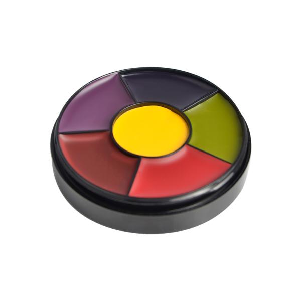 Макияж красоты палитры оборудует набор боди-арта стороны не токсический установленный для окончательной партии