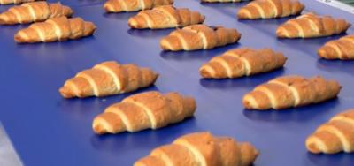 OBESINE  PLC smart controller Croissant Bread Production Line ,pastry machinesequipments,Denmark Bread Machines