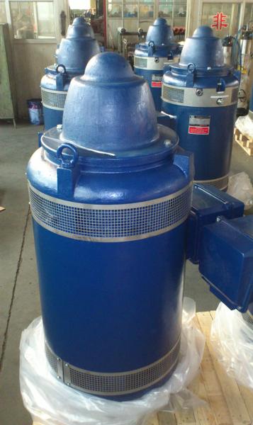 200HP NEMA Standard Motor Vertical Hollow Shaft 150KW VHS Pump Motor