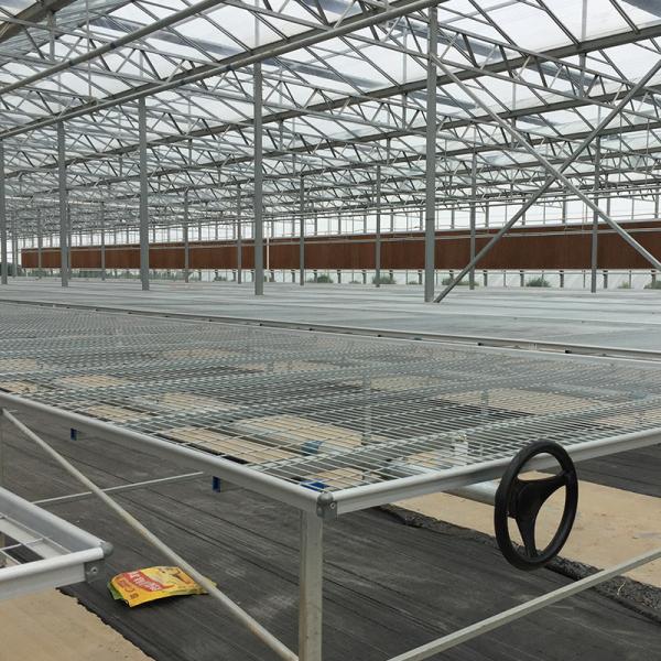 Improve Ventilation in Multi-Span Agricultural Greenhouses with Rack and Pinion System