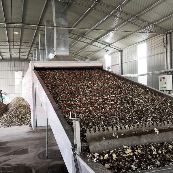 Honeysuckle Customize Mesh Belt Continuous Dryer Equipment