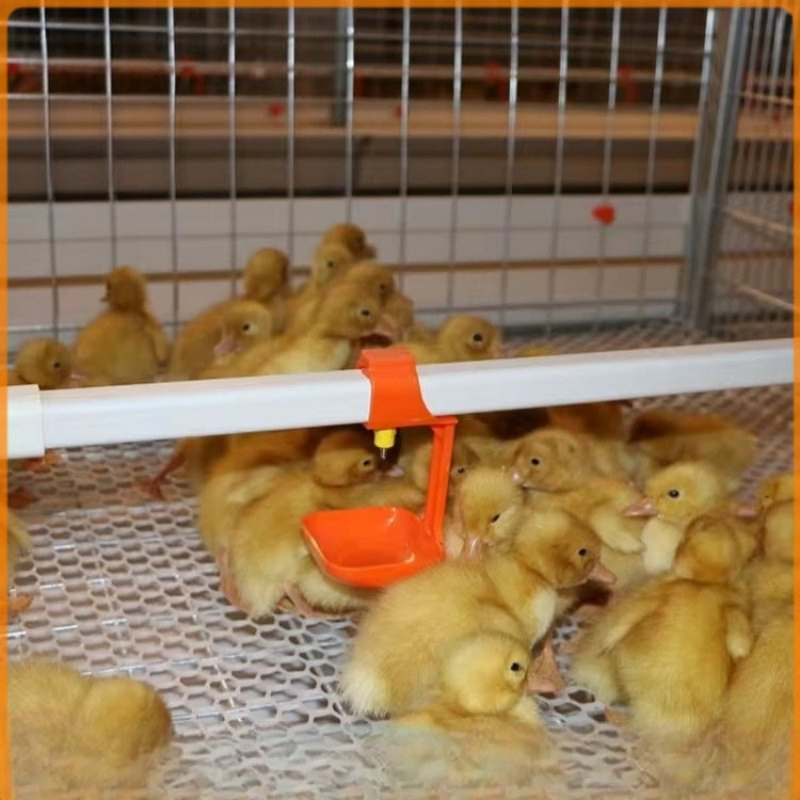 Corrosion Resistant Automatic Poultry Feeding Equipment PP Construction Pan Feeder