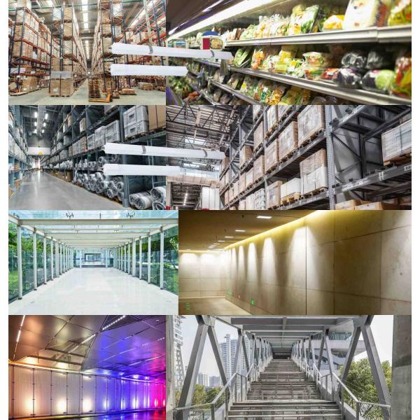 Пароустойчивый светодиодный светодиодный светодиодный светодиод с 2FT 4FT 5FT 12W-56W аварийным набором микроволновой датчик для хранилища парковочного участка