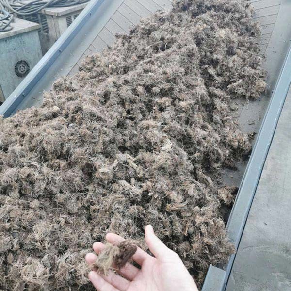 Plataforma de los moldes del doble de México que hace el equipo para el serrín de madera