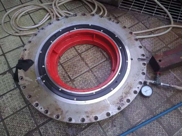 Segregações de eixo radial para aplicações de alta pressão PU POM PTFE NBR FKM  TPE borracha