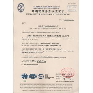 Hebei Shengtian Pipe Fittings Group Co., Ltd. Сертификации