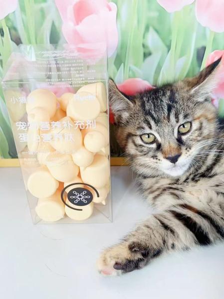 Dog And Cat Pet Supplements Support Immunity Tonify Blood Replenish Trace Elements Vitamins Postbiotics Protein