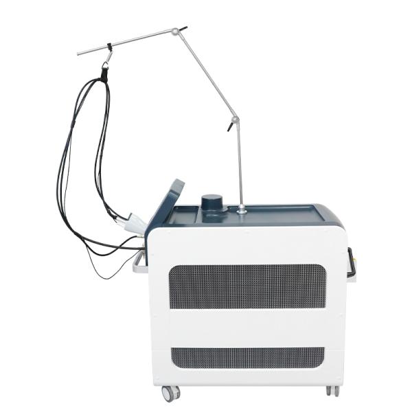 Favorable Max Alexandrite Laser Hair Tattoo apacible 2 en 1 máquina de la belleza del retiro