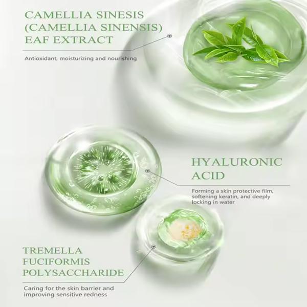 Crema para el cuidado corporal para piel seca, marca privada, hidratante, hidratante, loción de té verde vegetal, reparadora, manteca corporal de té verde