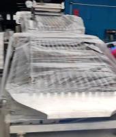 Equipement de tri des poissons à commande PLC personnalisé pour le tri des petits poissons avec automatique