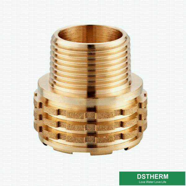 As inserções de cobre personalizaram inserções de bronze fêmeas de Ppr dos projetos com cor de cobre Shinning