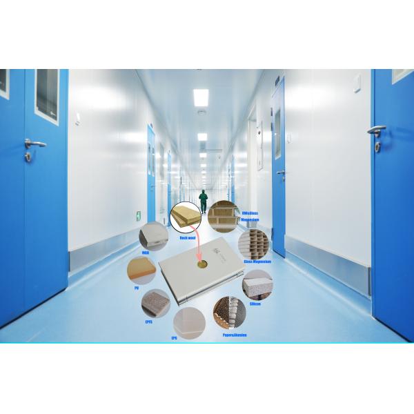 Customized Cleanroom Wall Panels  Construction Cleanroom Wall Systems 50mm 75mm