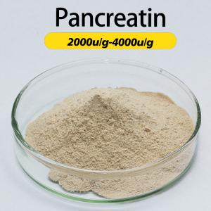 Enzymes pharmaceutiques du jus de pancréas en poudre de pancréatine personnalis