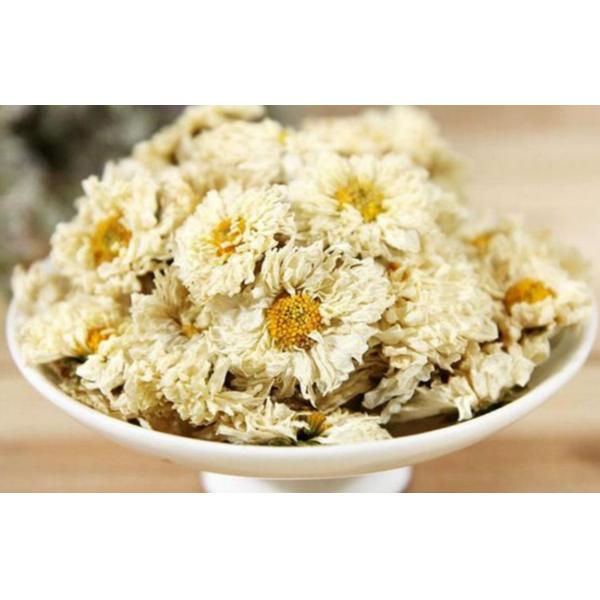 Té de crisantemo seco de cultivo natural, té de flores de crisantemo