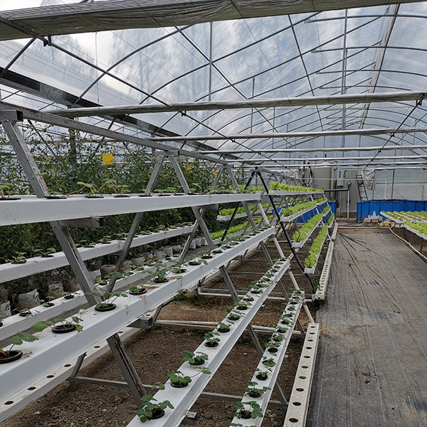 Système commercial de culture hydroponique des poissons Kit de serre aquaponique pour poissons et légumes