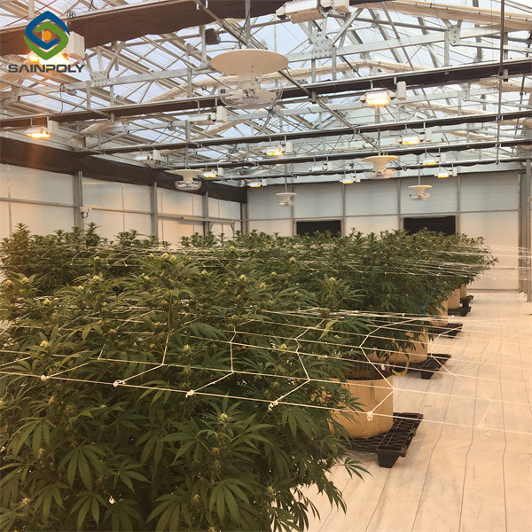 Serre à écran automatique multi-étendue à 3 couches avec structure en acier