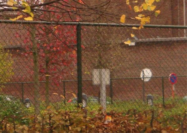 Zinc coated galvanized steel chain link fence fabric 5/8”x5/8” 9GA/3.66mm 11GA/2.95mm 4ft x 50ft