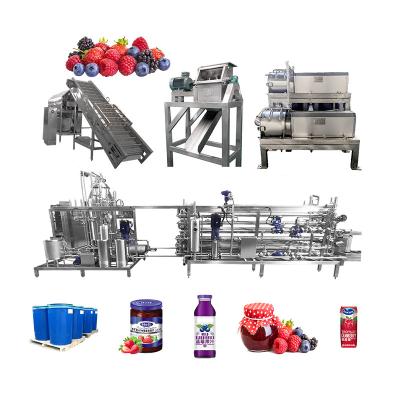 Industrial Blueberry Processing Machinery For Automatic Berry Juice Production Line