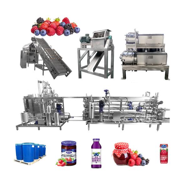 Línea de procesamiento de jugo de uva industrial de acero inoxidable 1000T/día
