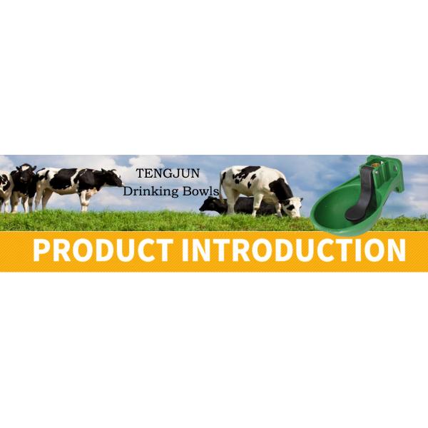 Press Down Pressure Tongue Impact Resistant Plastic Material Drinking Stable