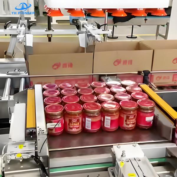 Automatic Case Packer Line for Bottles Cans Bottled Jam Carton Case Packing Machine