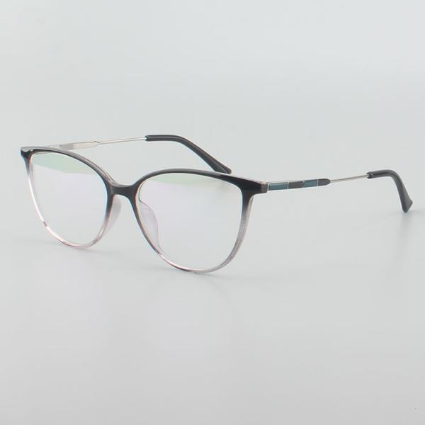 Classical Retro Blue Light Eyewear TR90 Optical Frames