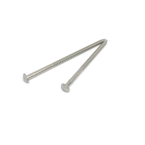 30X2.0MM Rose Head Annular Ring Shank cloue l'acier inoxydable 316
