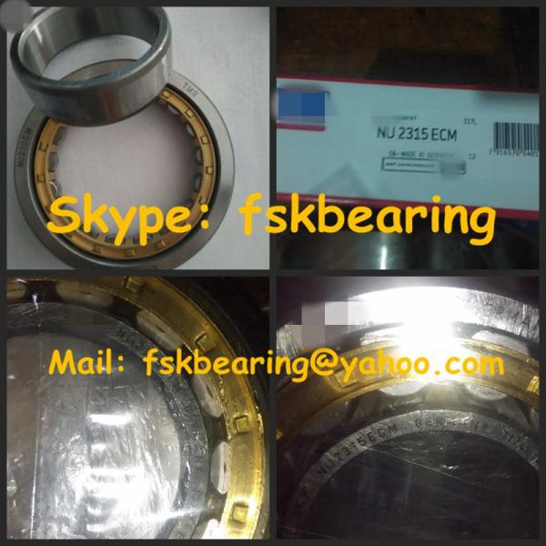 Chrome Steel / Stainless Steel Cylindrical Roller Bearing for Foaming Machine