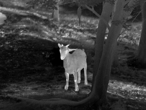 Guide TA 50mm Thermal Imaging Attachment For Hunting
