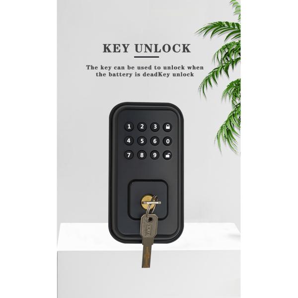 Secure Your Door with Battery-Powered Digital Smart Lock and TTlock Tuya WiFi App