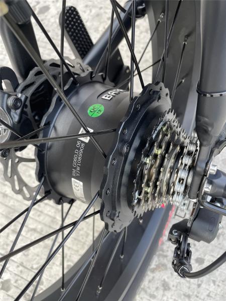 48V 150W Dual Motor Fat Tire Electric Bike Hydraulic Disc Brakes Ebike For Adults