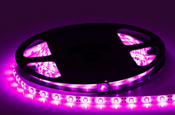 A luz de tira morna do diodo emissor de luz do branco SMD 3528 Waterproof /M conduzido 60 12W/M 3 anos de garantia