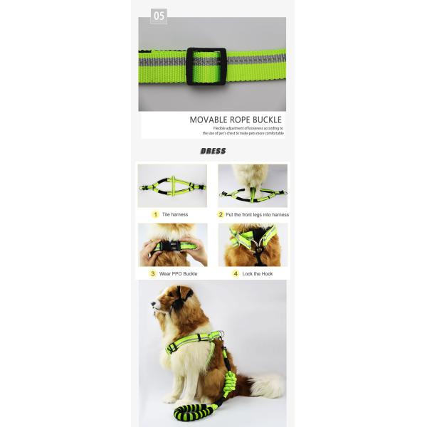 Adjustable Reflective Pet Dog Cat Harness With Nylon Leash Outdoor Training Collar Night Safety